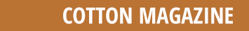 TITLE-BARS---NEWS-PORTAL-1