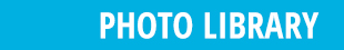 TITLE-BARS---NEWS-PORTAL-3