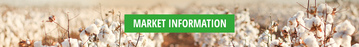 HEADER-BANNER-MARKET-INFORMATION-1