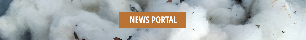 HEADER-BANNER-NEWS-PORTAL-1